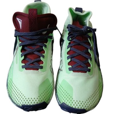 Nike Performance REACT PEGASUS TRAIL 4 - Obuwie do biegania